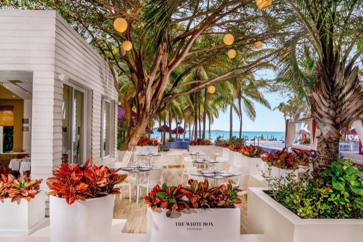 The White Box Restaurant